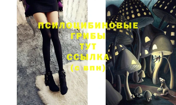 молекула духа Аркадак